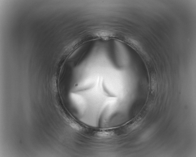 X0000062930453200601271836