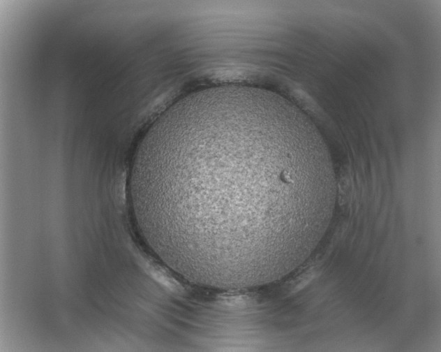 X0000062930454200601271836