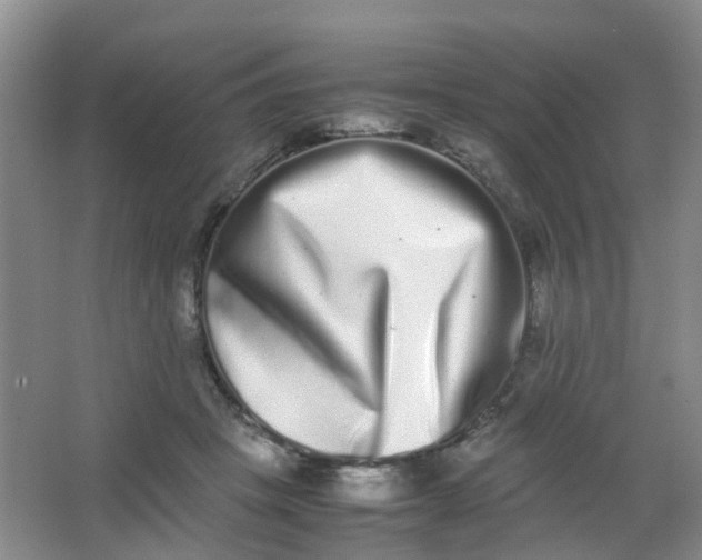 X0000062930457200601271836