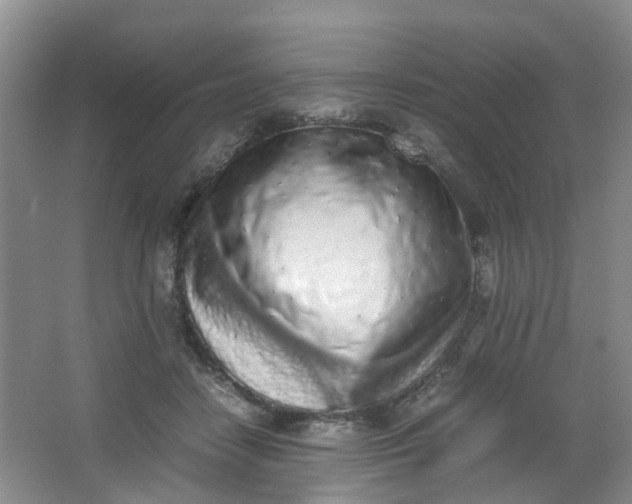 X0000062930458200601271836