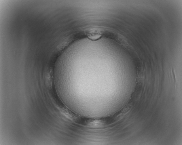 X0000062930460200601271836