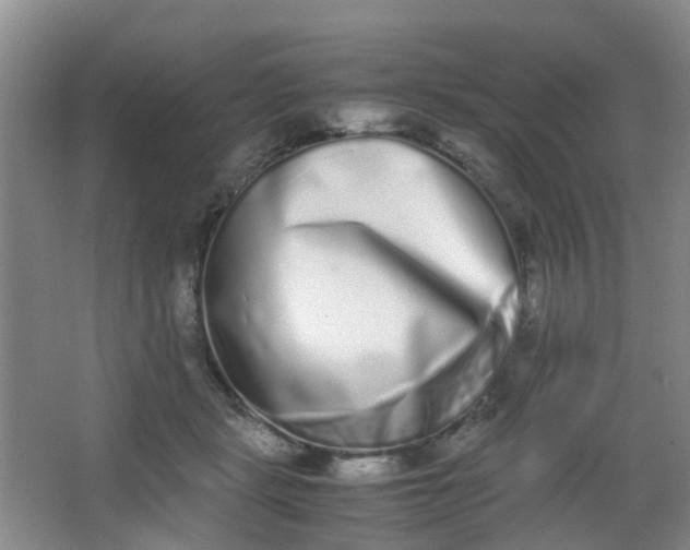 X0000062930461200601271836