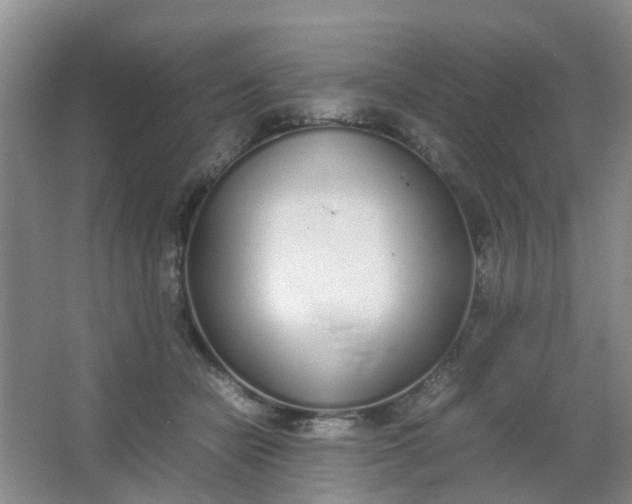 X0000062930462200601271836