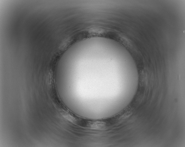 X0000062930463200601271836