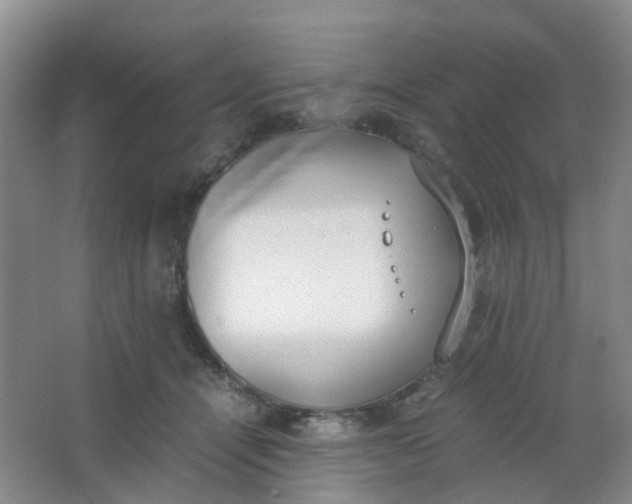 X0000062930464200601271836