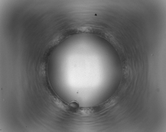 X0000062930466200601271836