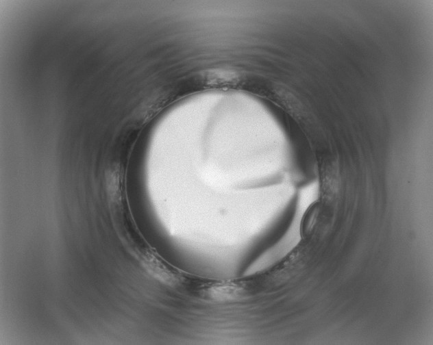 X0000062930468200601271836