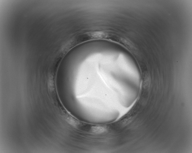 X0000062930469200601271836