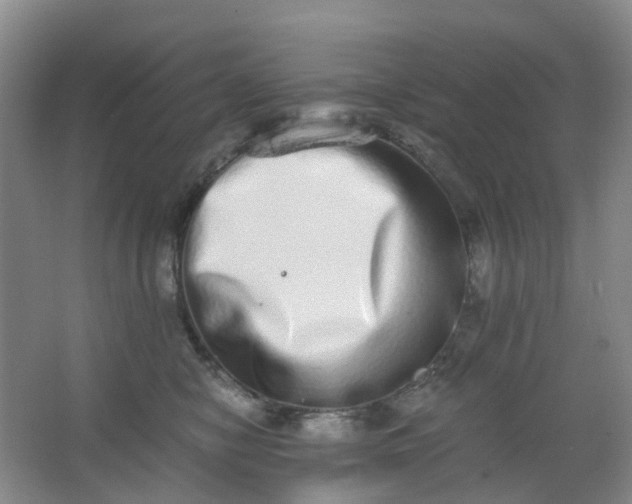 X0000062930470200601271836