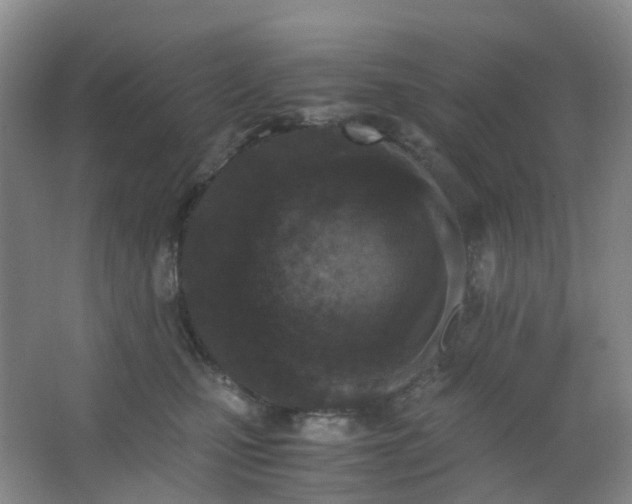 X0000062930471200601271836