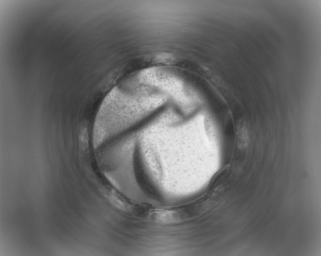 X0000062930472200601271836