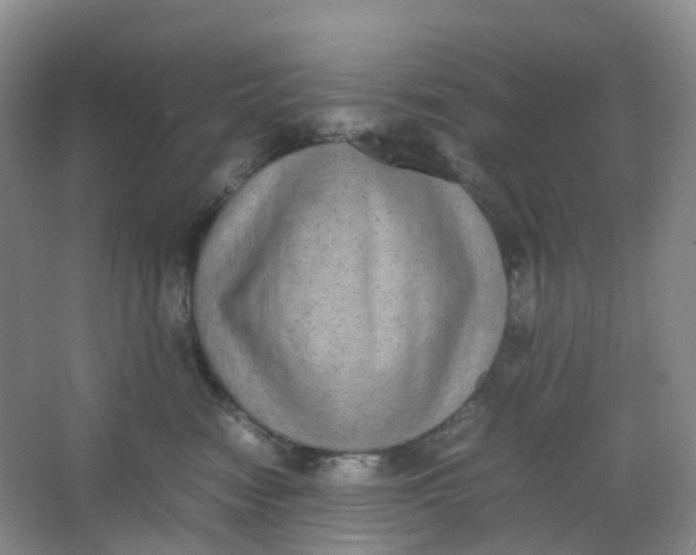 X0000062930474200601271837