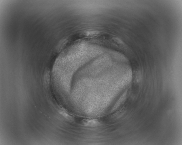 X0000062930475200601271837