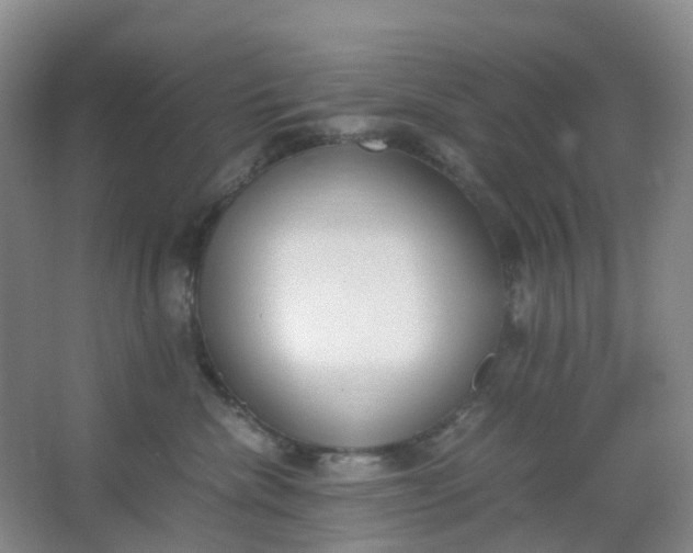 X0000062930476200601271837