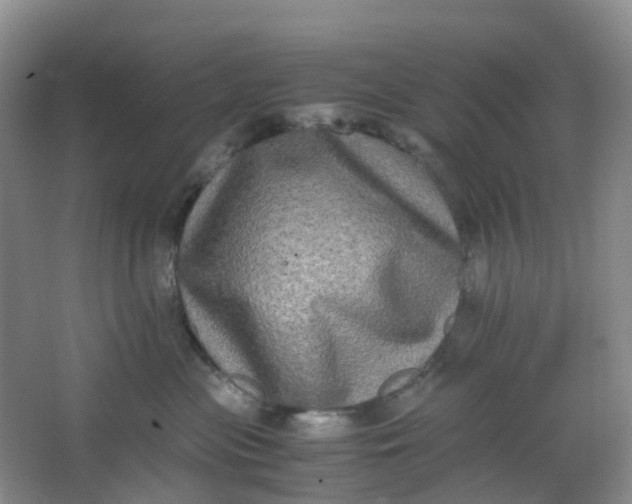 X0000062930477200601271837