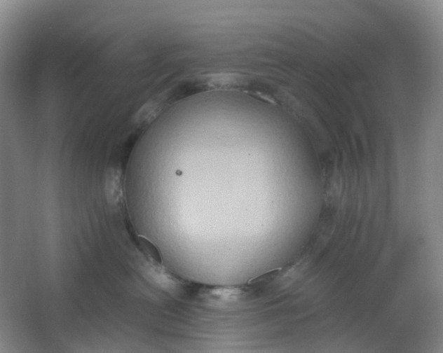 X0000062930478200601271837