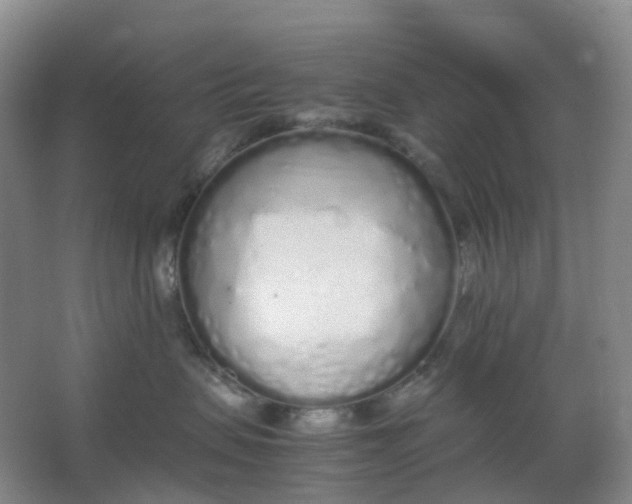 X0000062930479200601271837