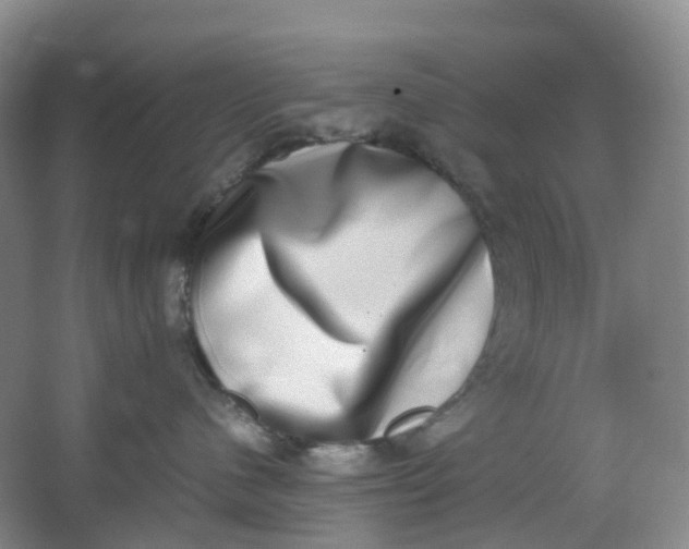 X0000062930480200601271837