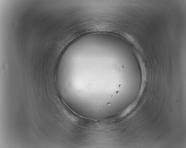 X0000062930481200601271836