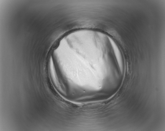 X0000062930483200601271836