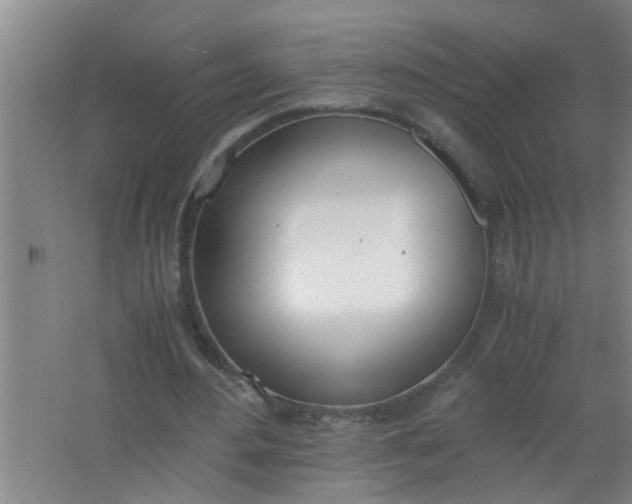 X0000062930484200601271836