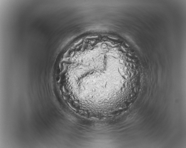 X0000062930487200601271836