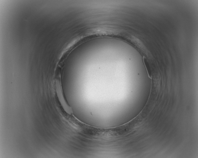 X0000062930488200601271836