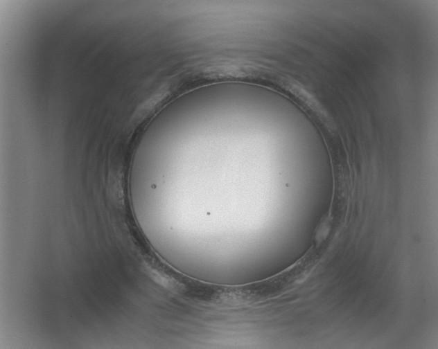 X0000062930489200601271836