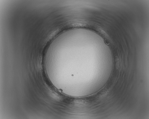 X0000062930490200601271836