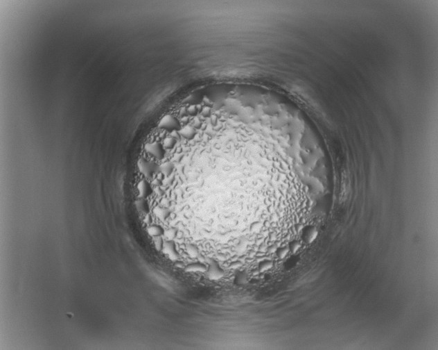 X0000062930491200601271836