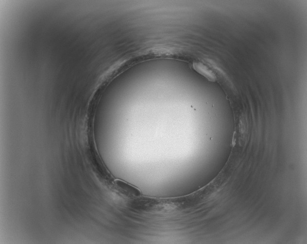 X0000062930492200601271836