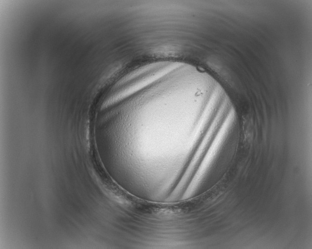 X0000062930494200601271836