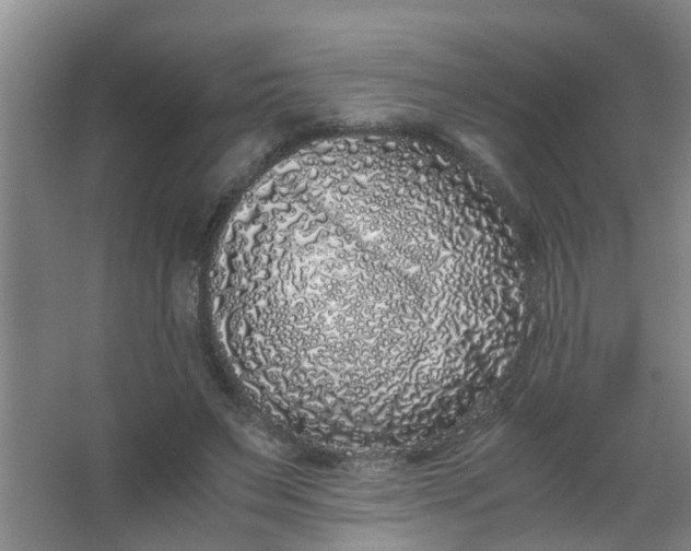 X0000062930495200601271836