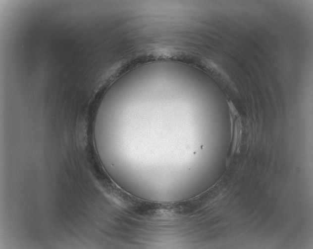 X0000062930496200601271836