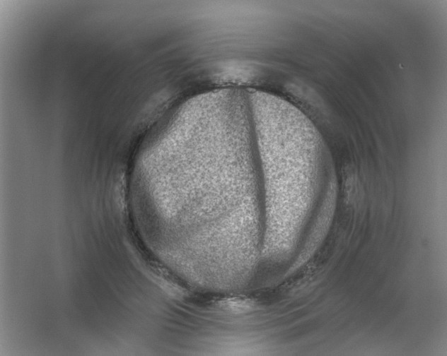 X0000062930498200601271836