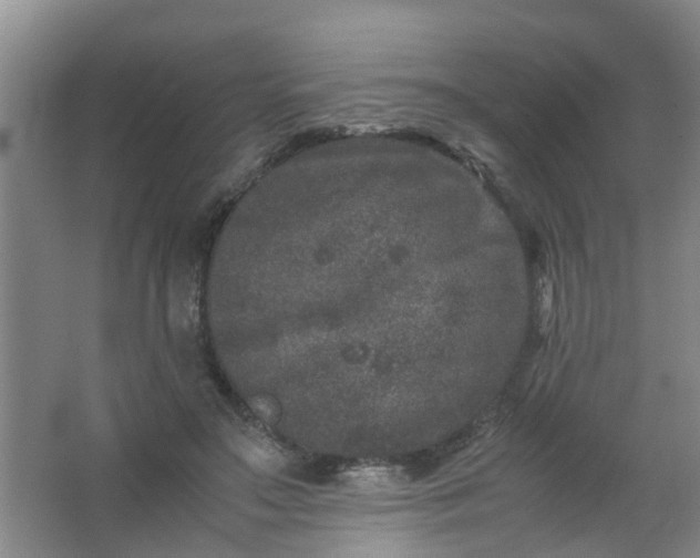 X0000062930499200601271835