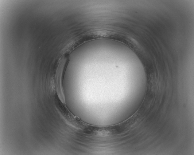 X0000062930500200601271835