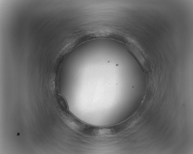 X0000062930501200601271835