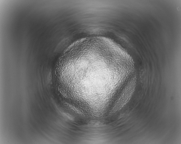 X0000062930502200601271835