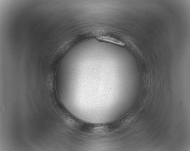 X0000062930505200601271835