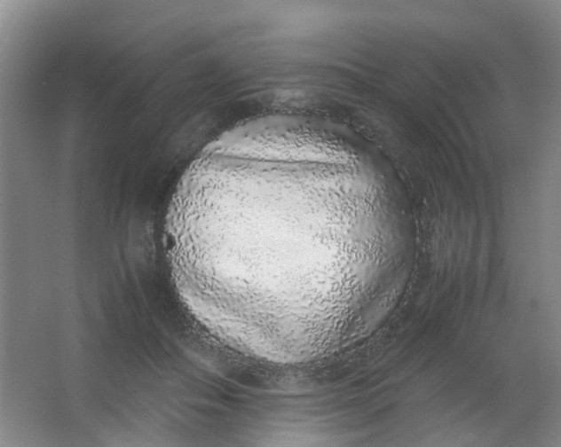 X0000062930506200601271835