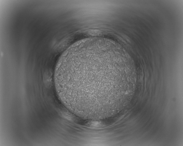 X0000062930507200601271835