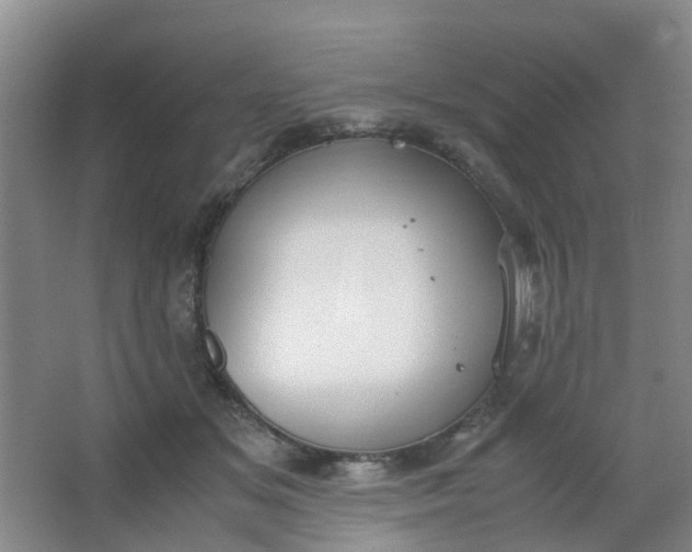 X0000062930509200601271835