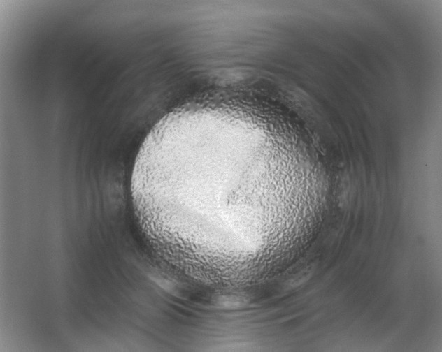 X0000062930510200601271835