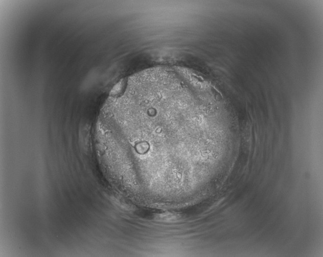 X0000062930511200601271835