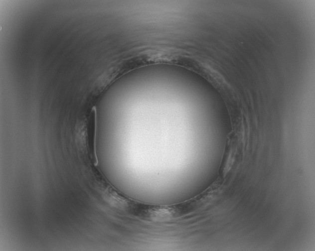 X0000062930513200601271835