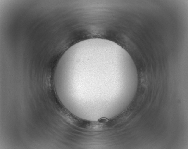 X0000062930514200601271835