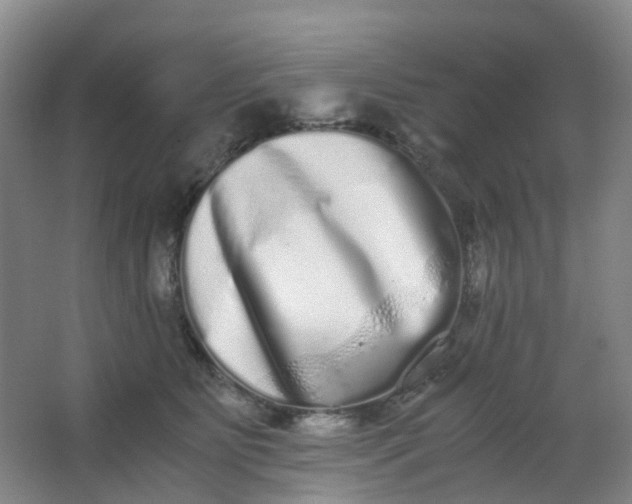 X0000062930515200601271835