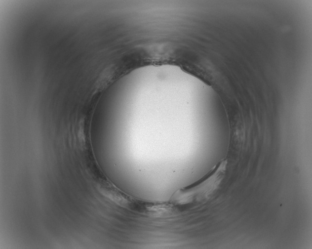 X0000062930516200601271835