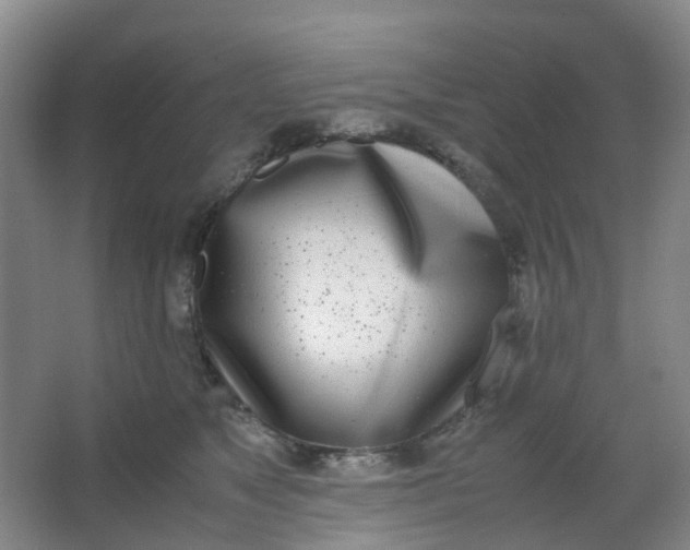 X0000062930517200601271835